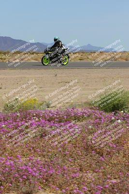 media/Mar-12-2023-SoCal Trackdays (Sun) [[d4c8249724]]/Turn 15 Inside Bloom (130pm)/